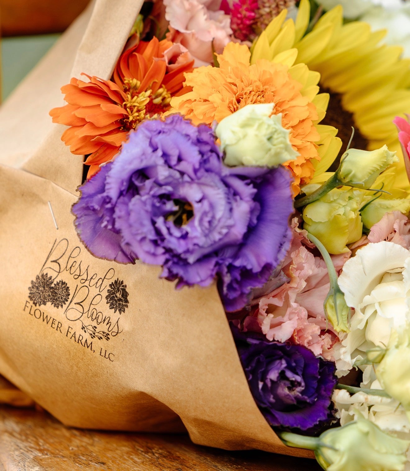 Voyage 2 Lisianthus Plugs – Blue