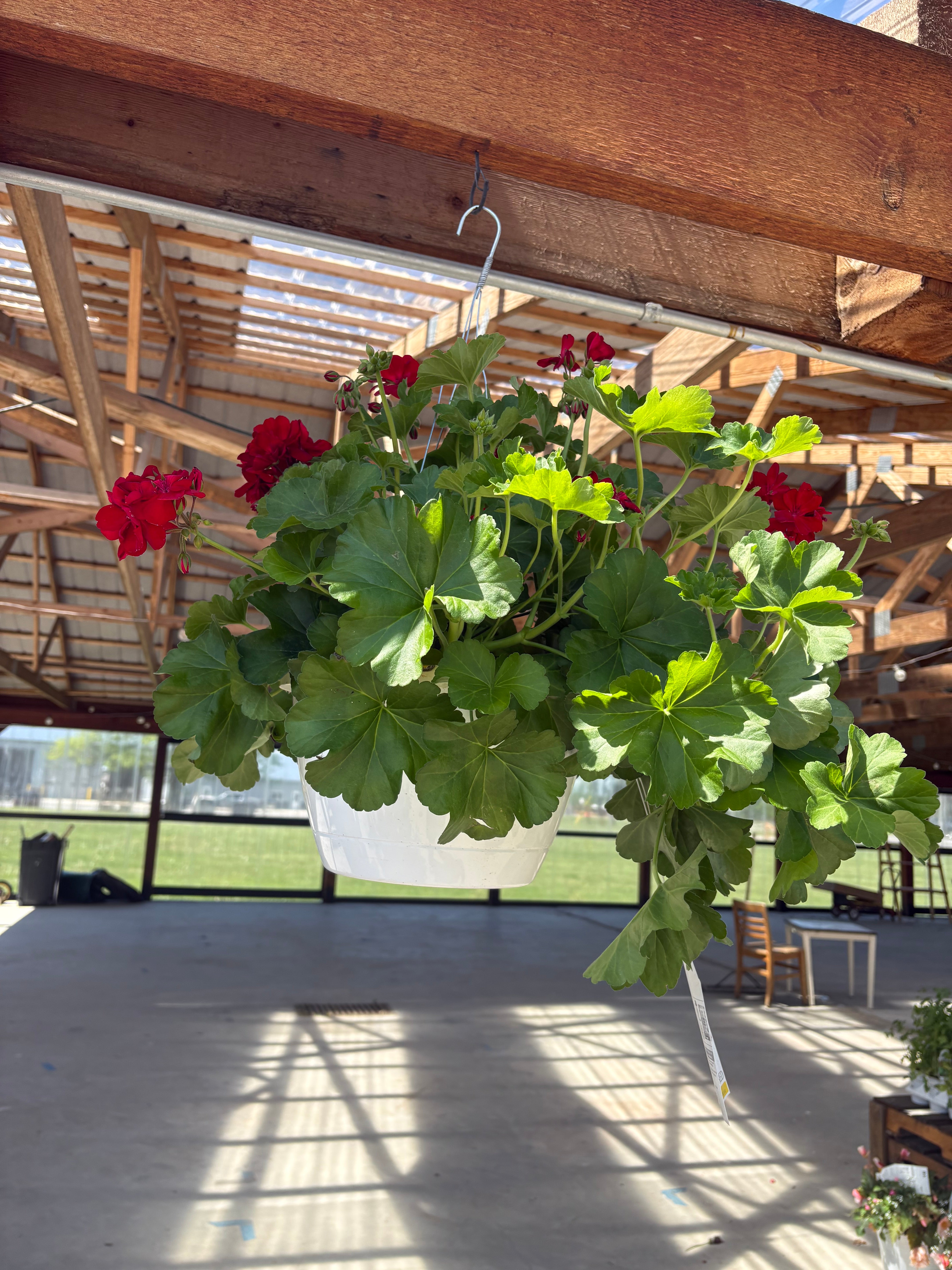 Mono Hanging Basket