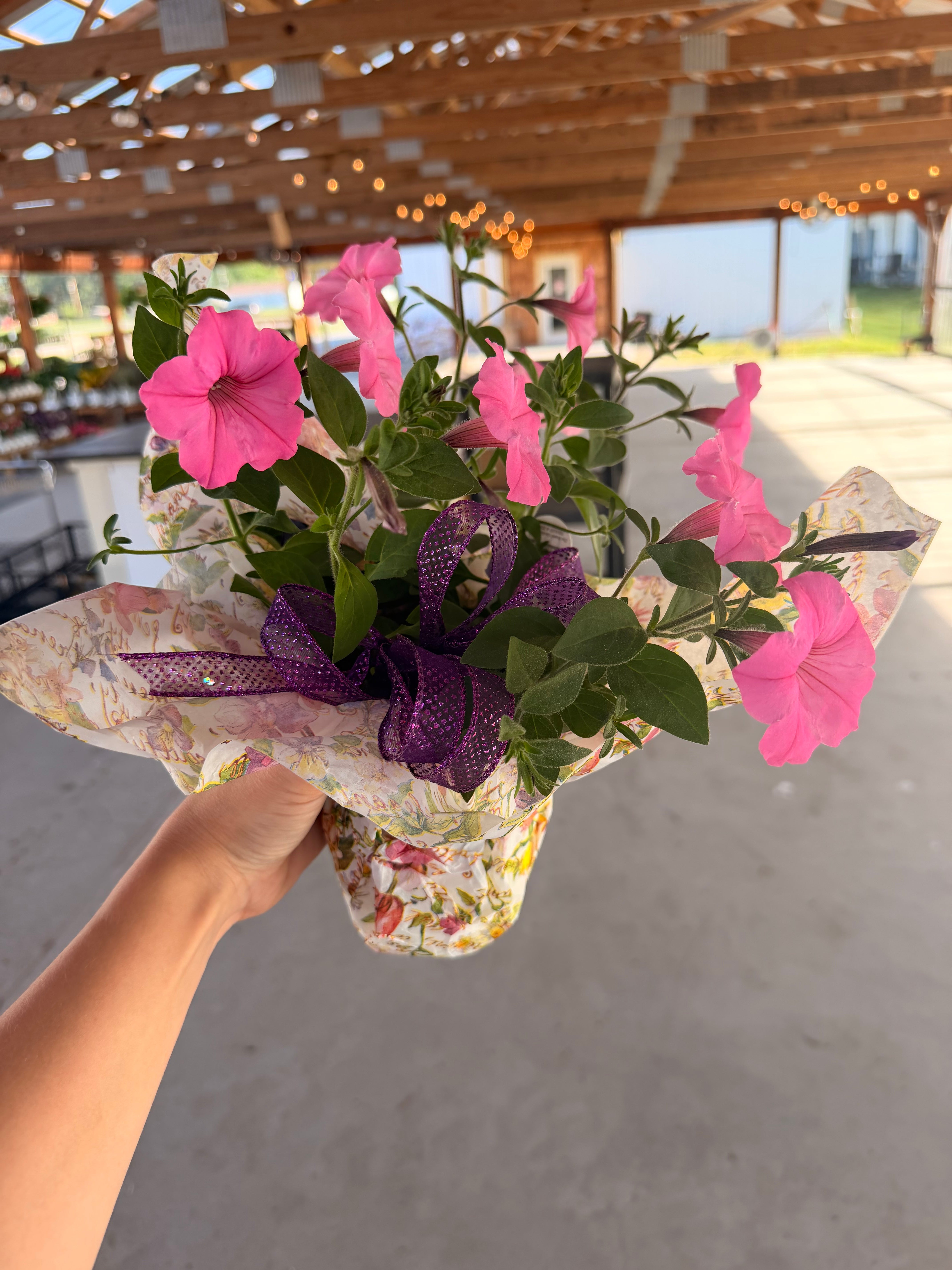 Annual Flower Gift Wrapped