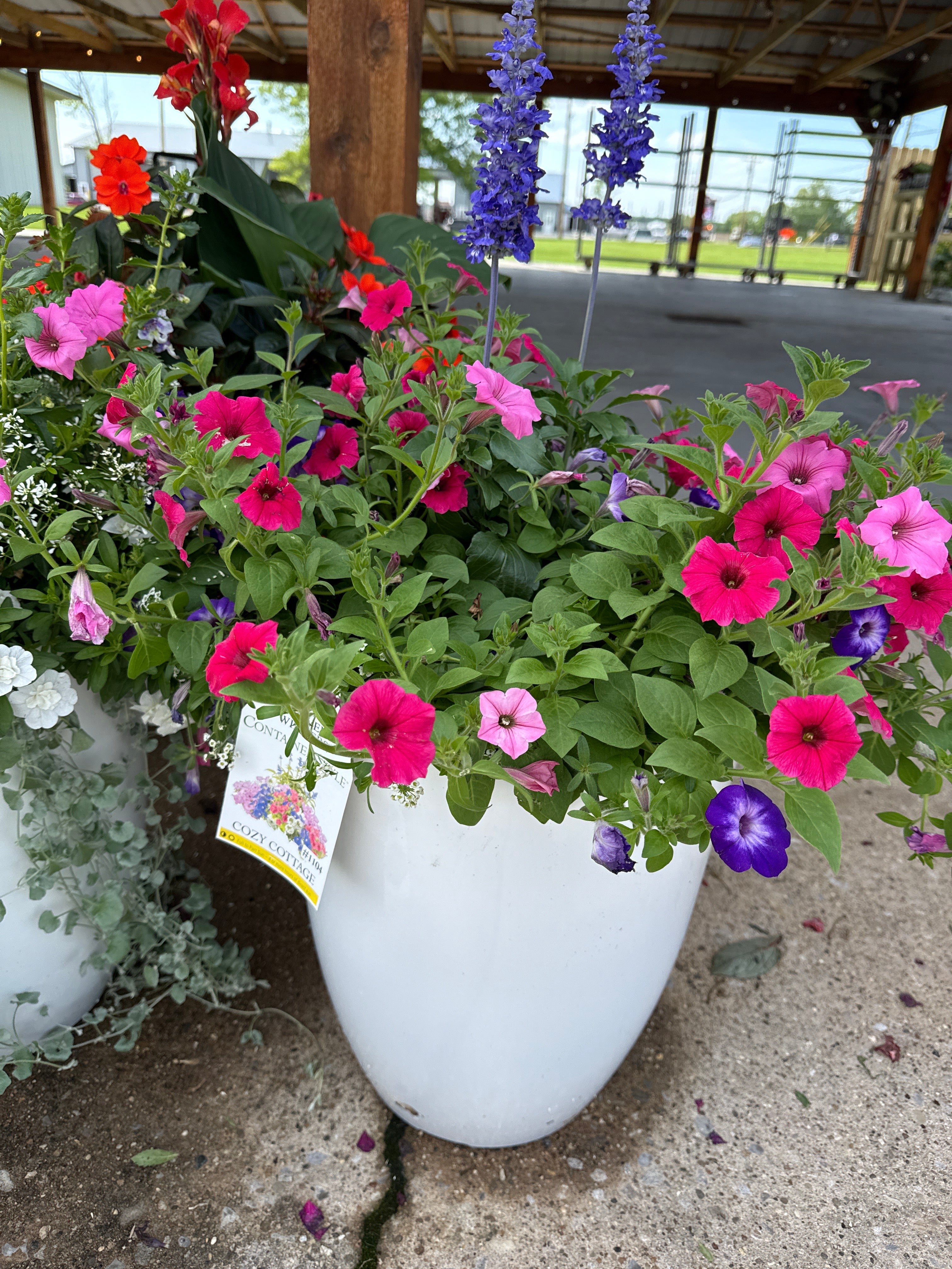 Cozy cottage container