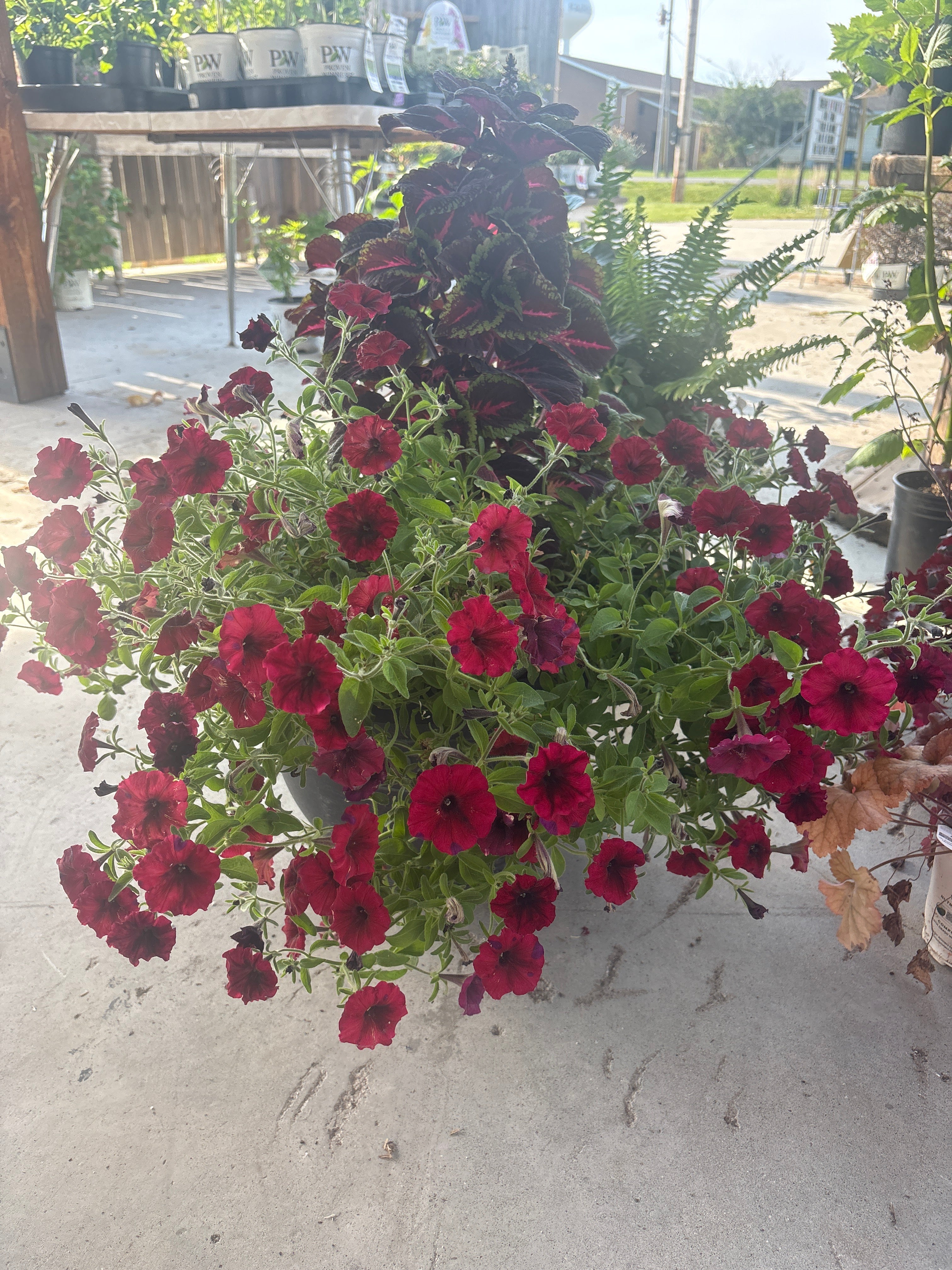 Red planter