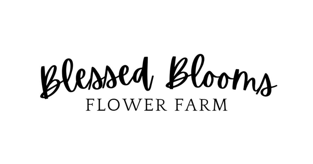 Leaf Joy Chlorophytum Pixie Punk – Blessed Blooms Flower Farm