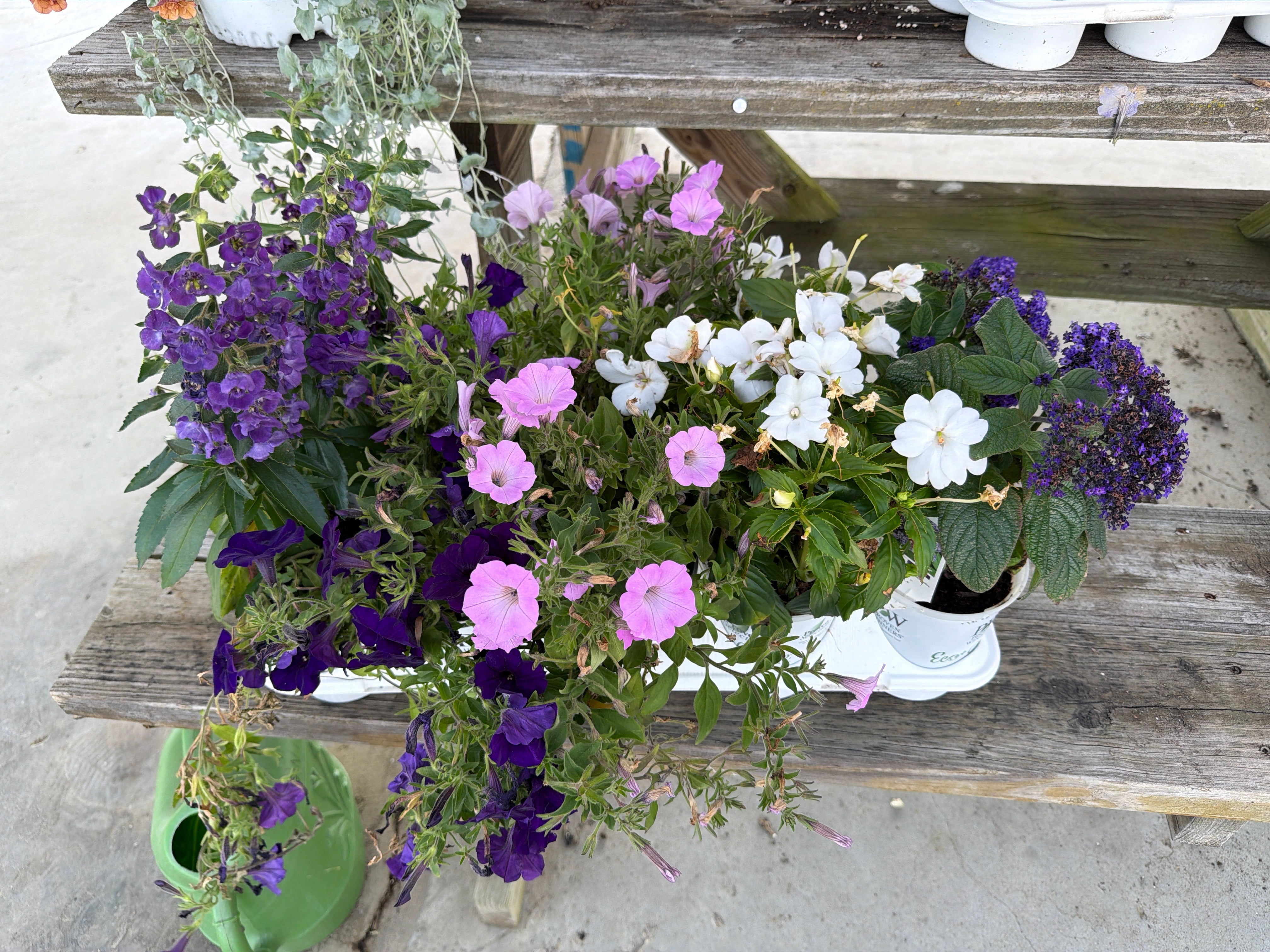 Purples Bundle
