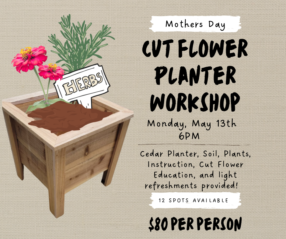 Mother Day 2024 Workshop