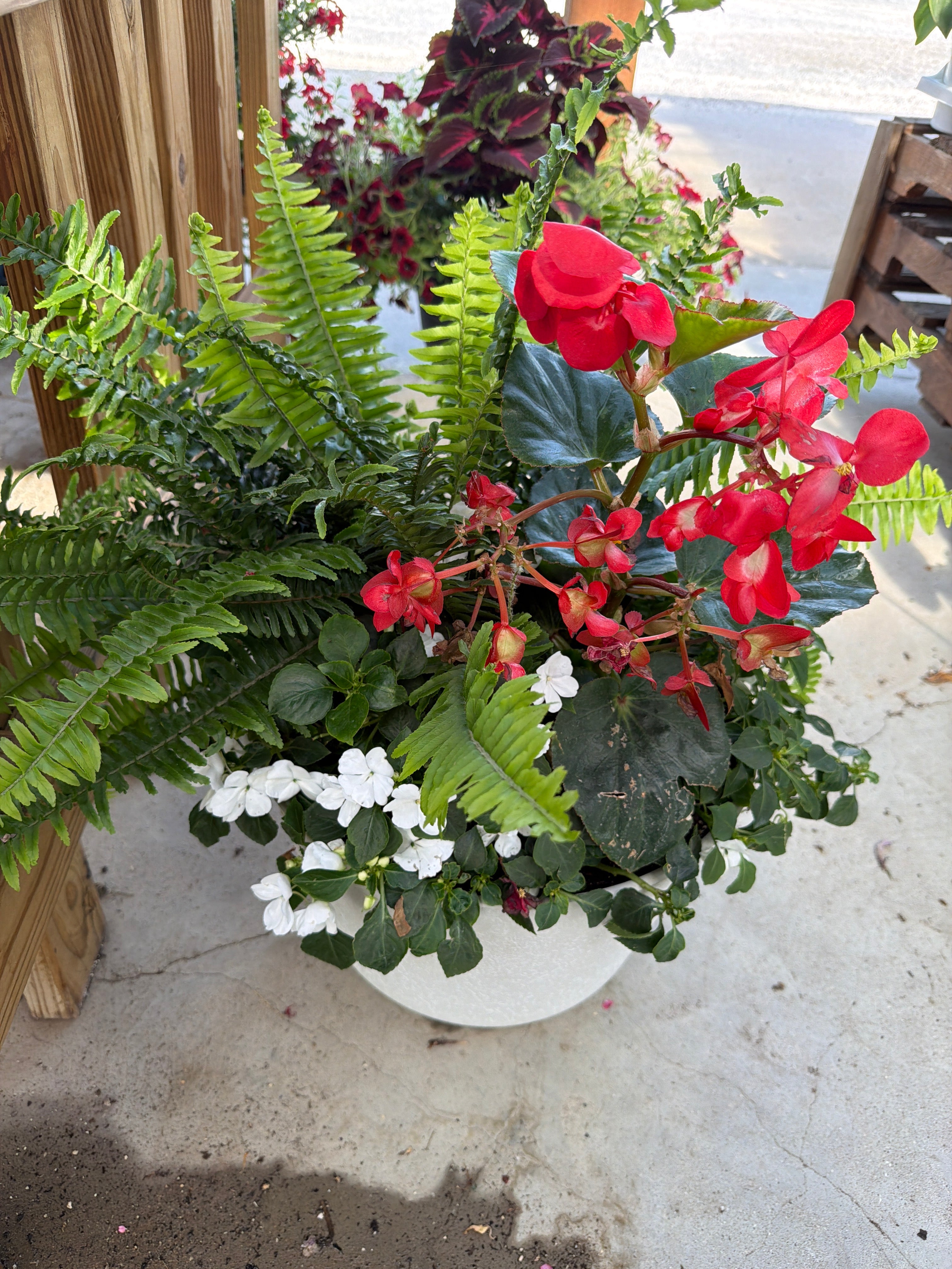 Premium Shade Planter