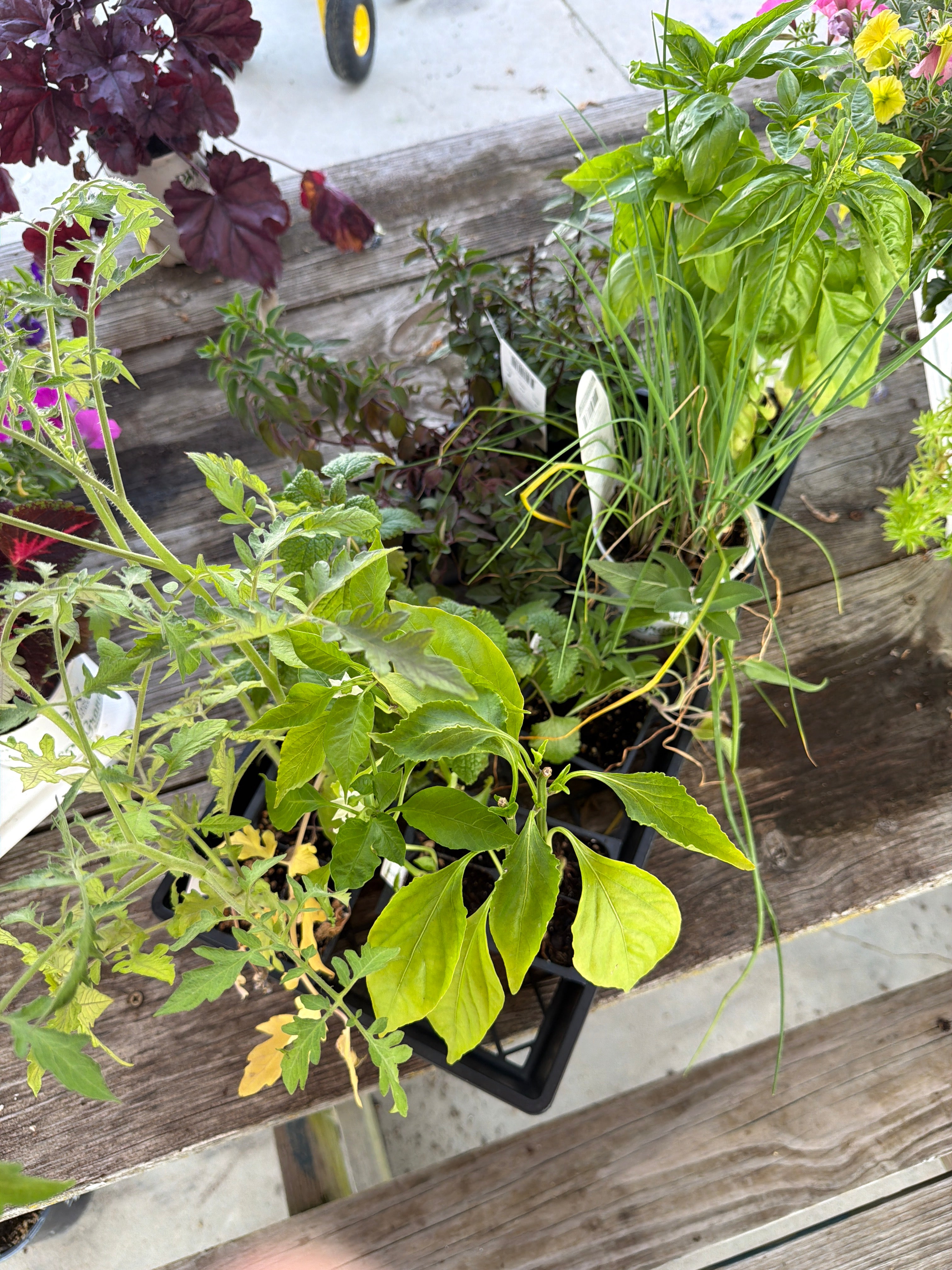 Veggie Bundle