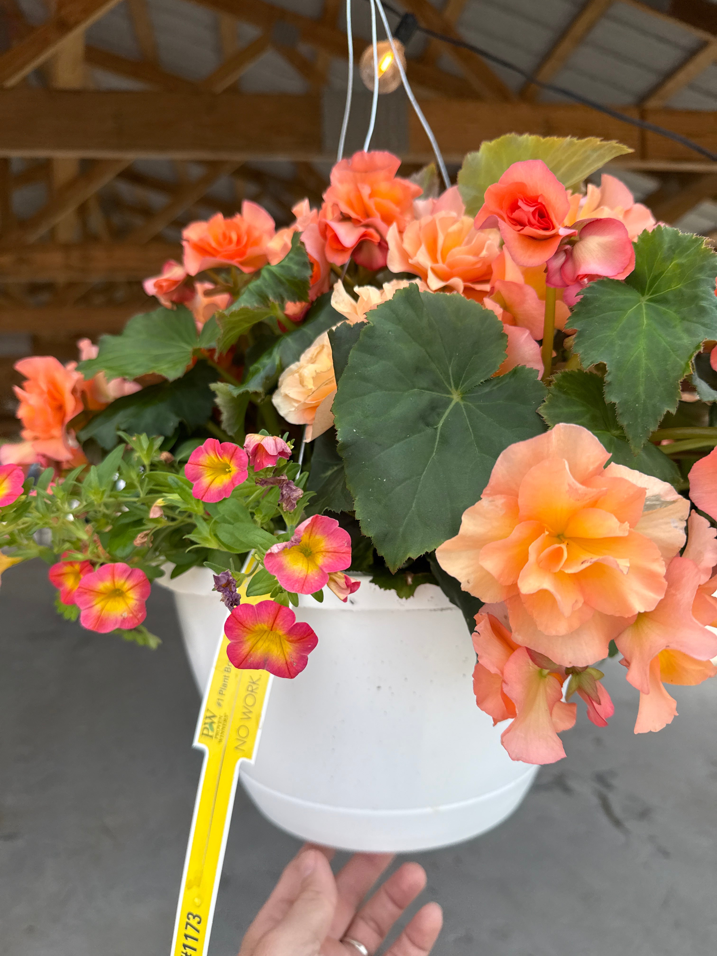 Southwest hanging basket
