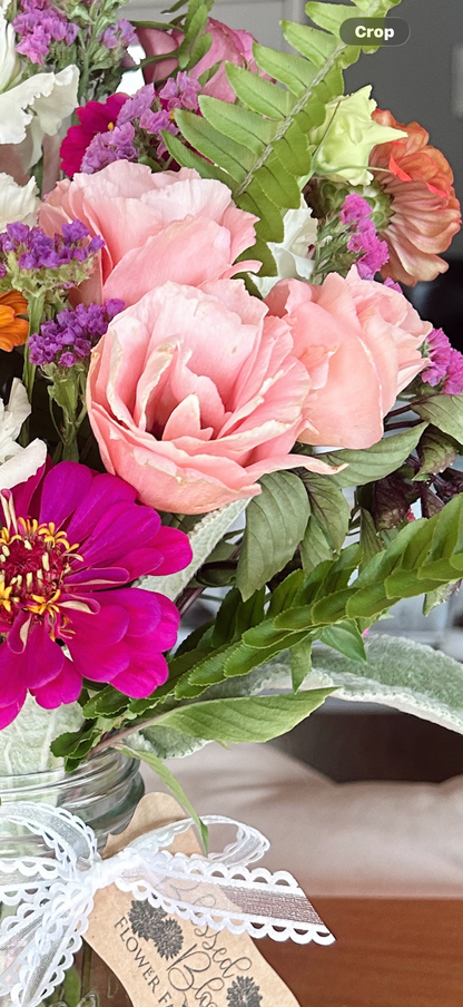 Arena Lisianthus Plugs – Apricot