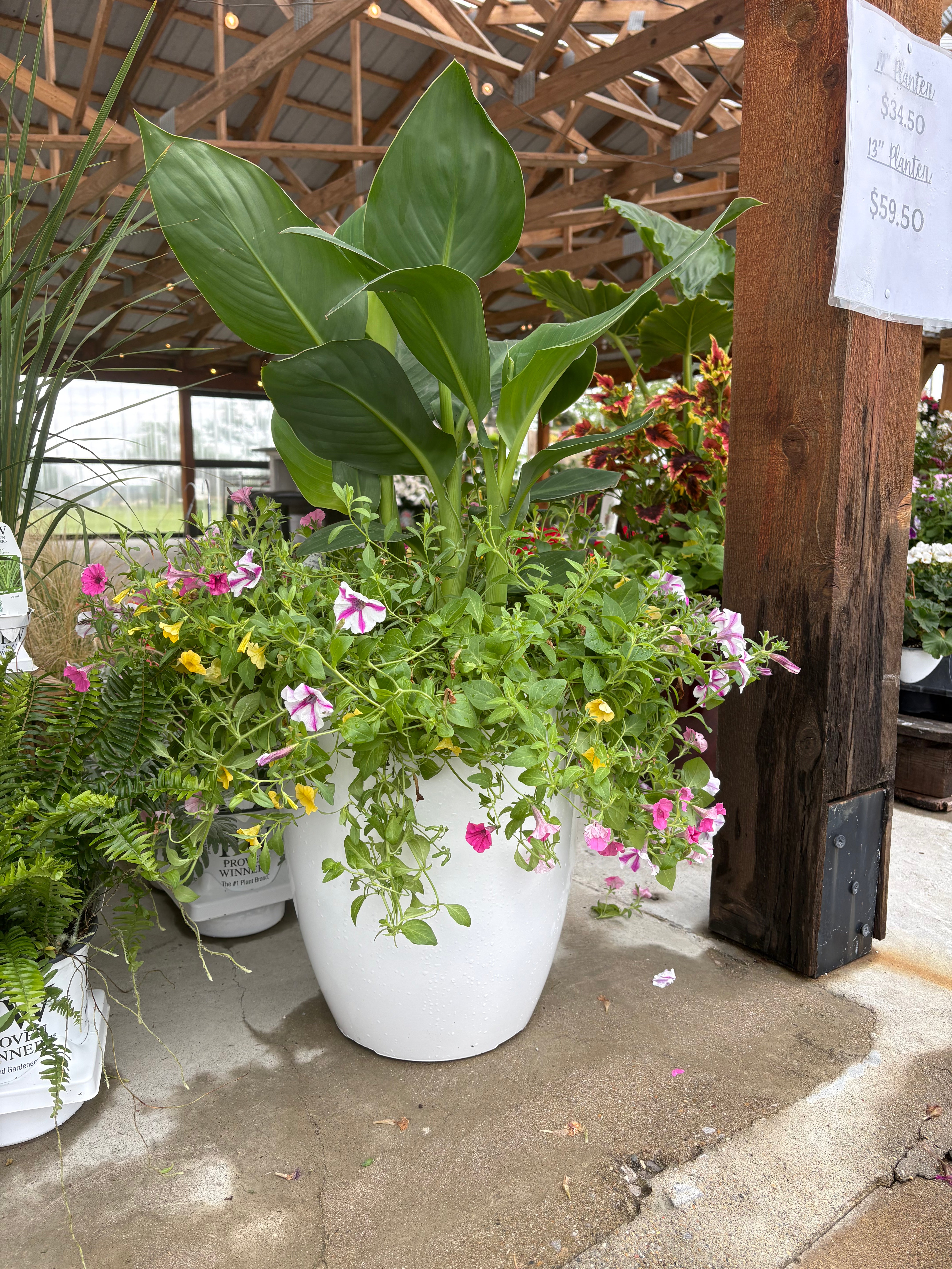 XL planter
