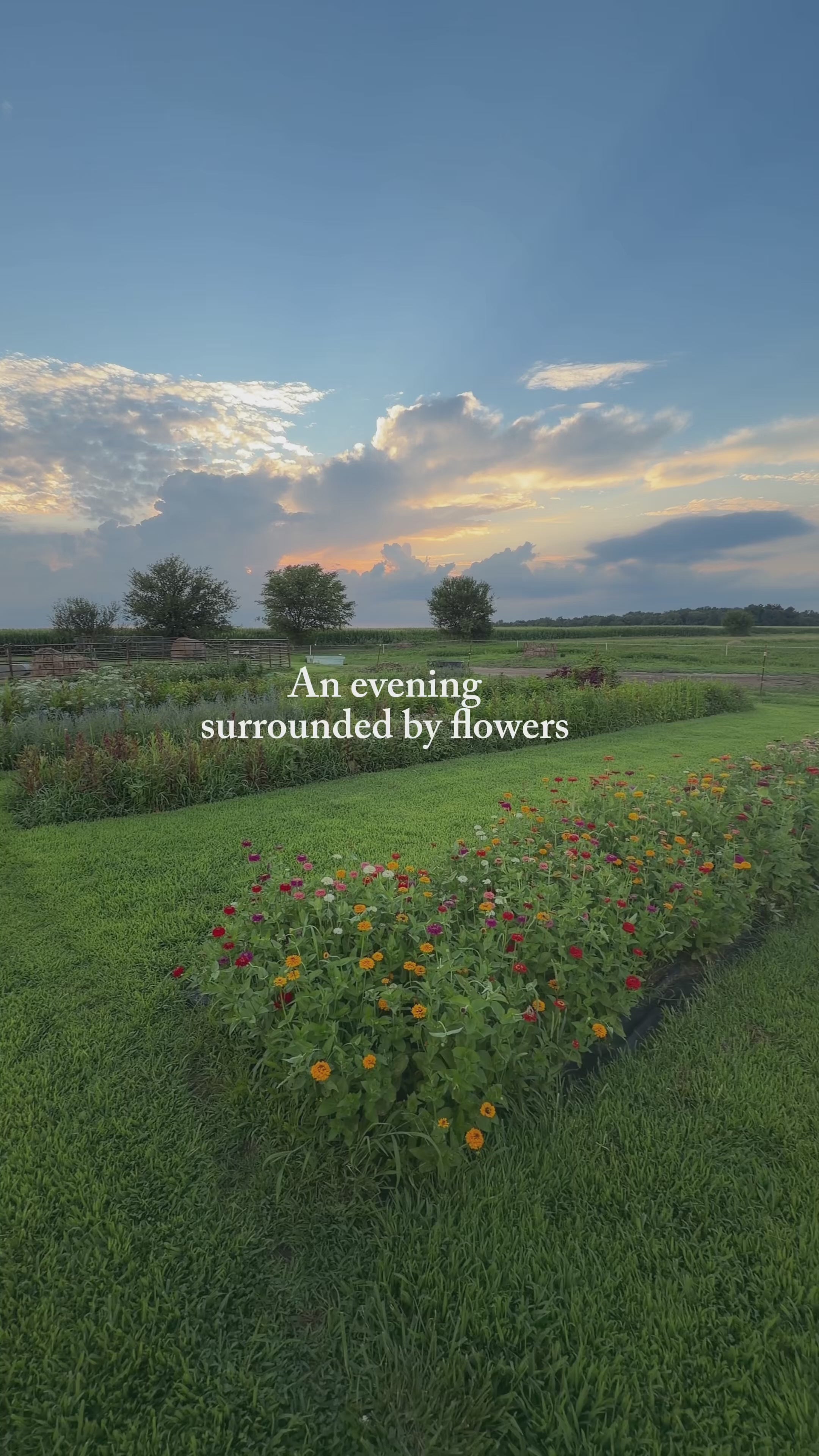 On-Farm Cut Flower Workshop