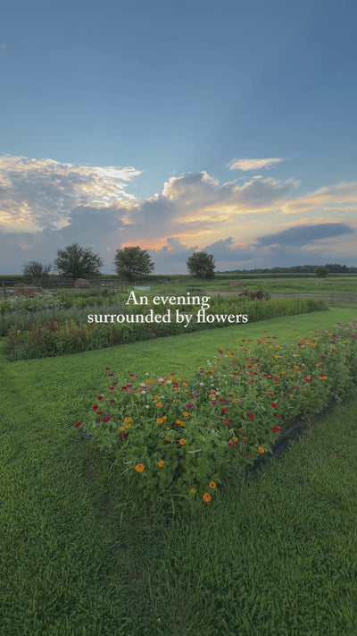 On-Farm Cut Flower Workshop