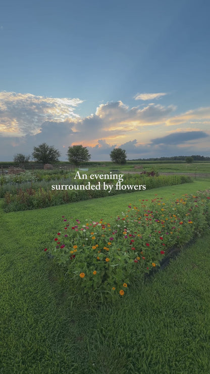 On-Farm Cut Flower Workshop